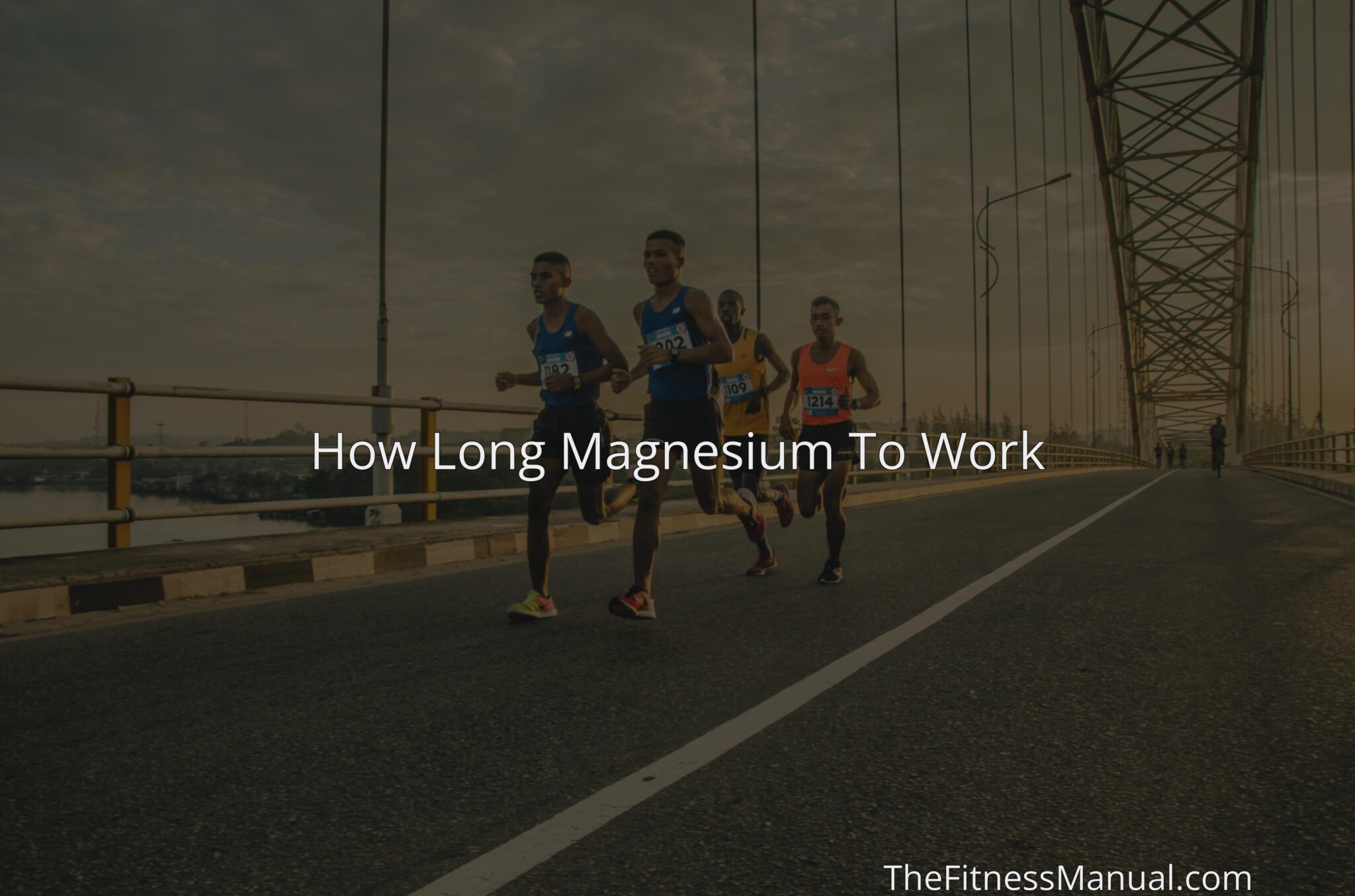 How Long Magnesium To Work - TheFitnessManual