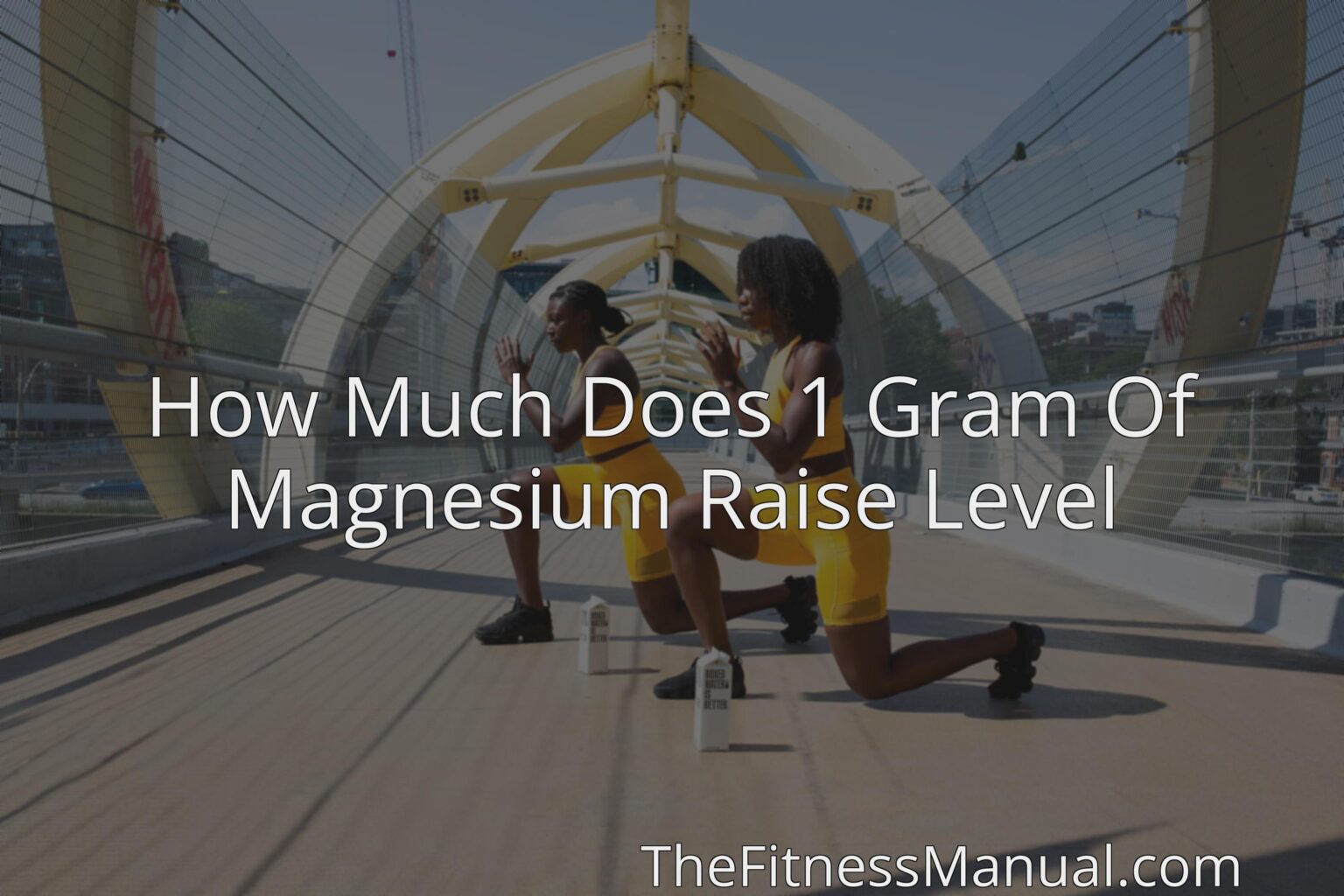 how-much-does-1-gram-of-magnesium-raise-level-thefitnessmanual