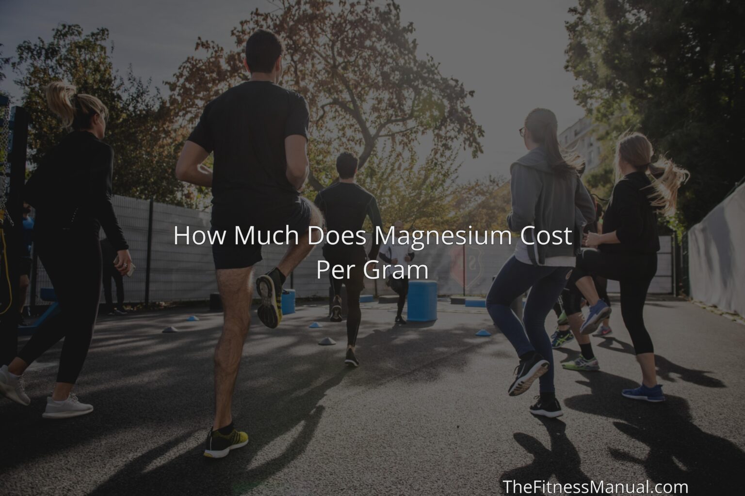 How Much Does Magnesium Cost