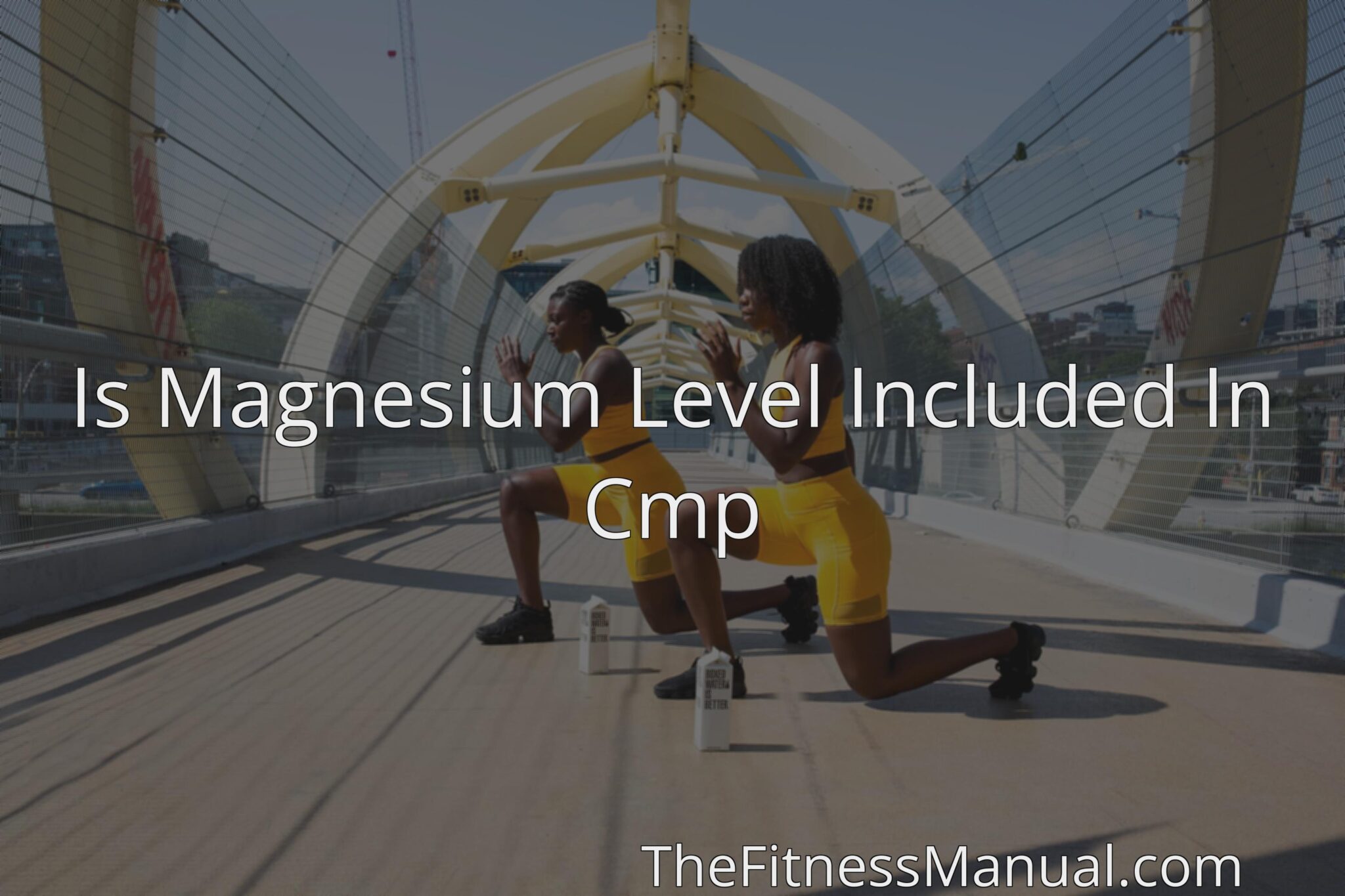 is-magnesium-level-included-in-cmp-thefitnessmanual