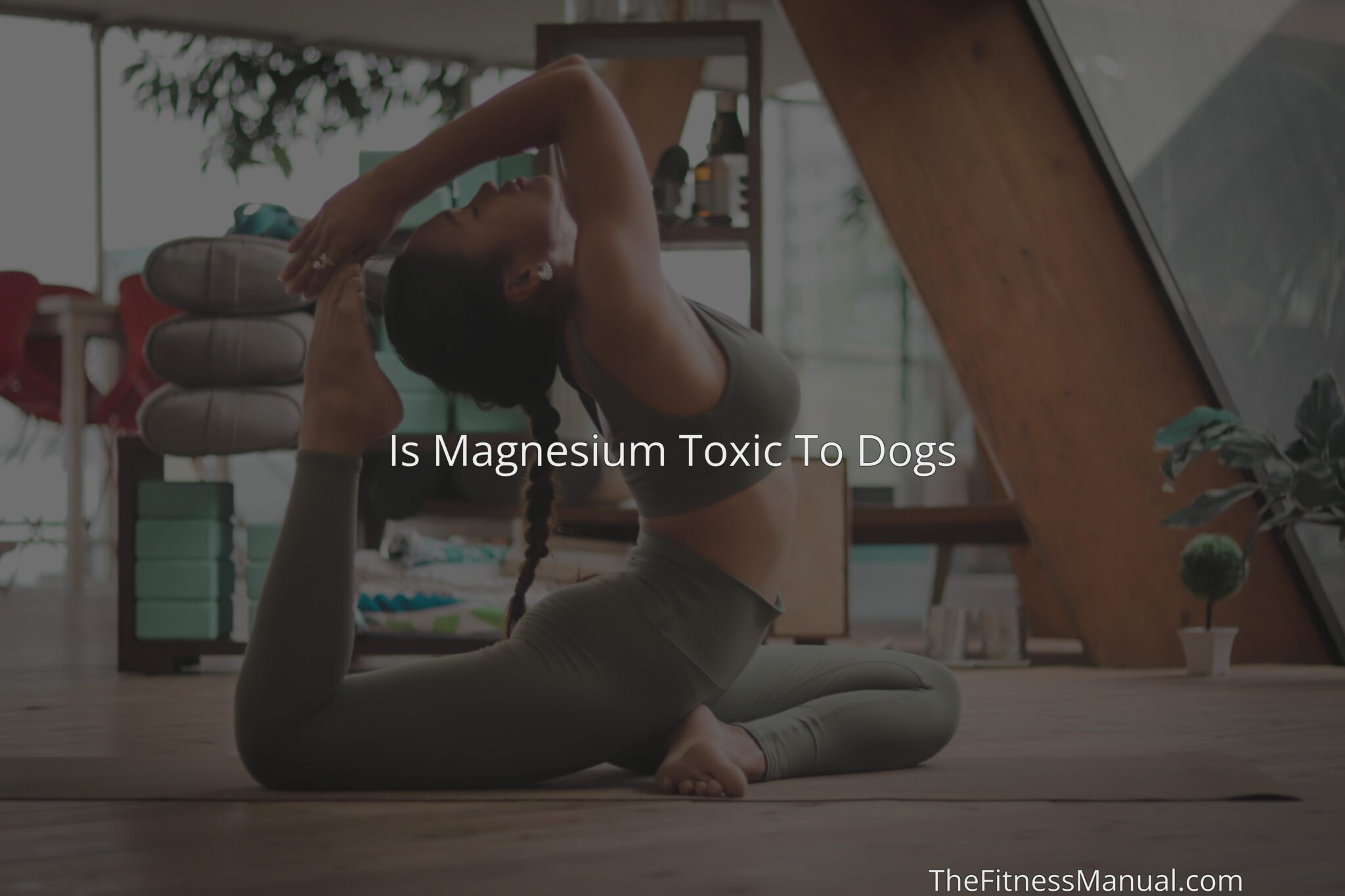 is-magnesium-toxic-to-dogs-thefitnessmanual