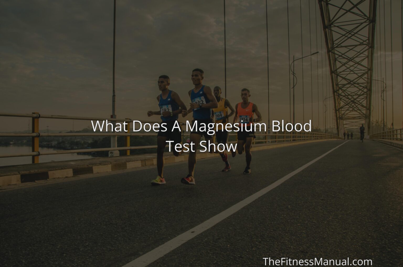 What Does A Magnesium Blood Test Show TheFitnessManual