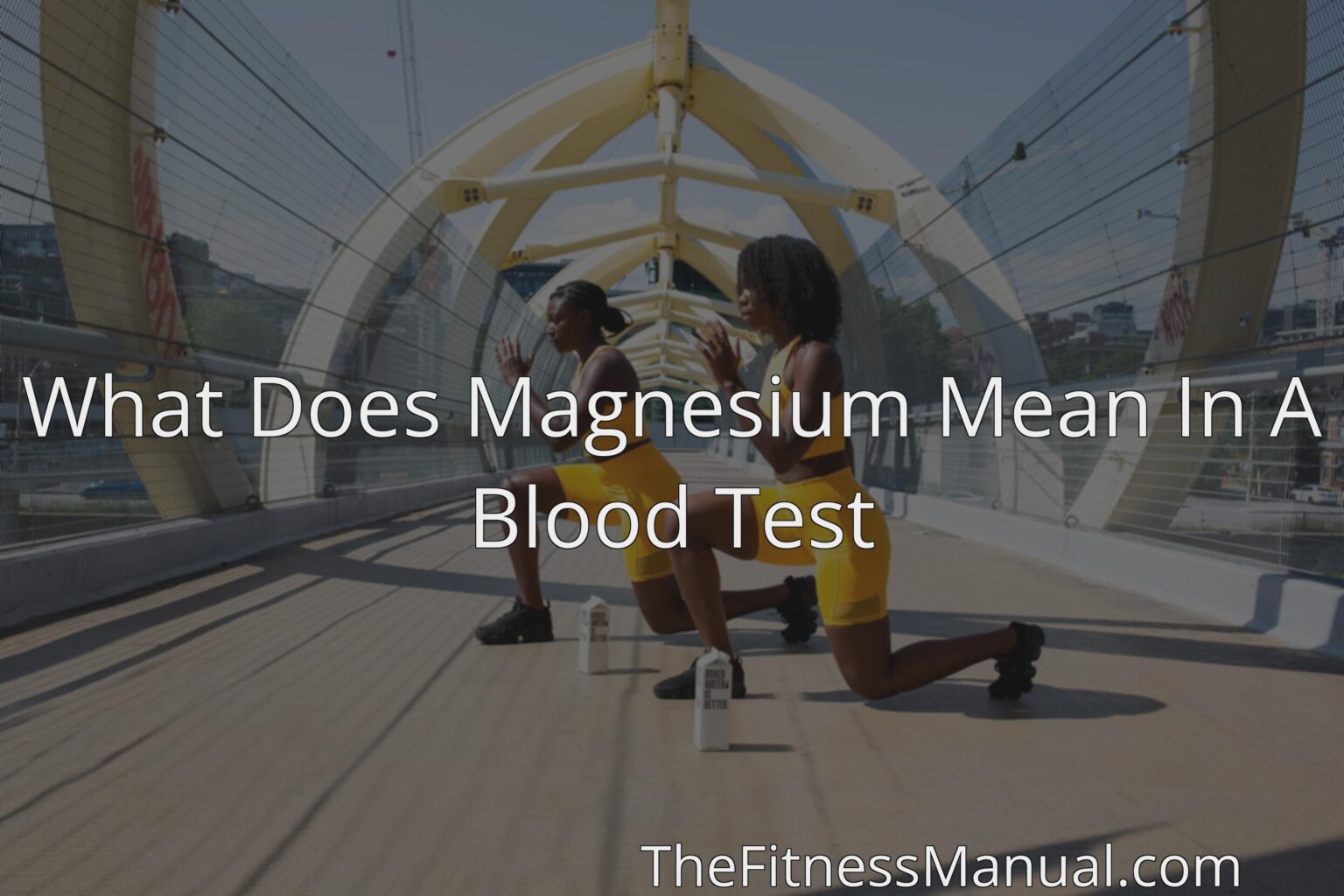 What Does Magnesium Mean In A Blood Test TheFitnessManual