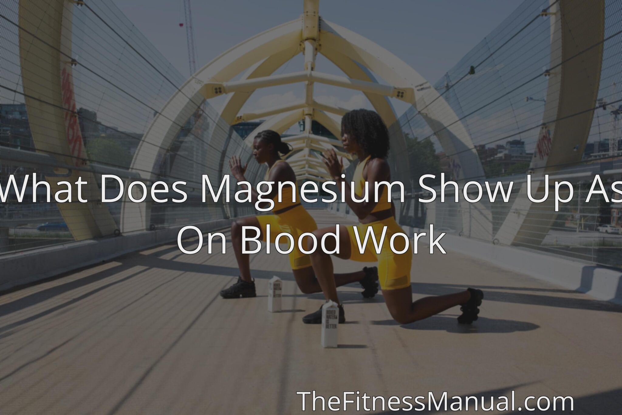 what-does-magnesium-show-up-as-on-blood-work-thefitnessmanual