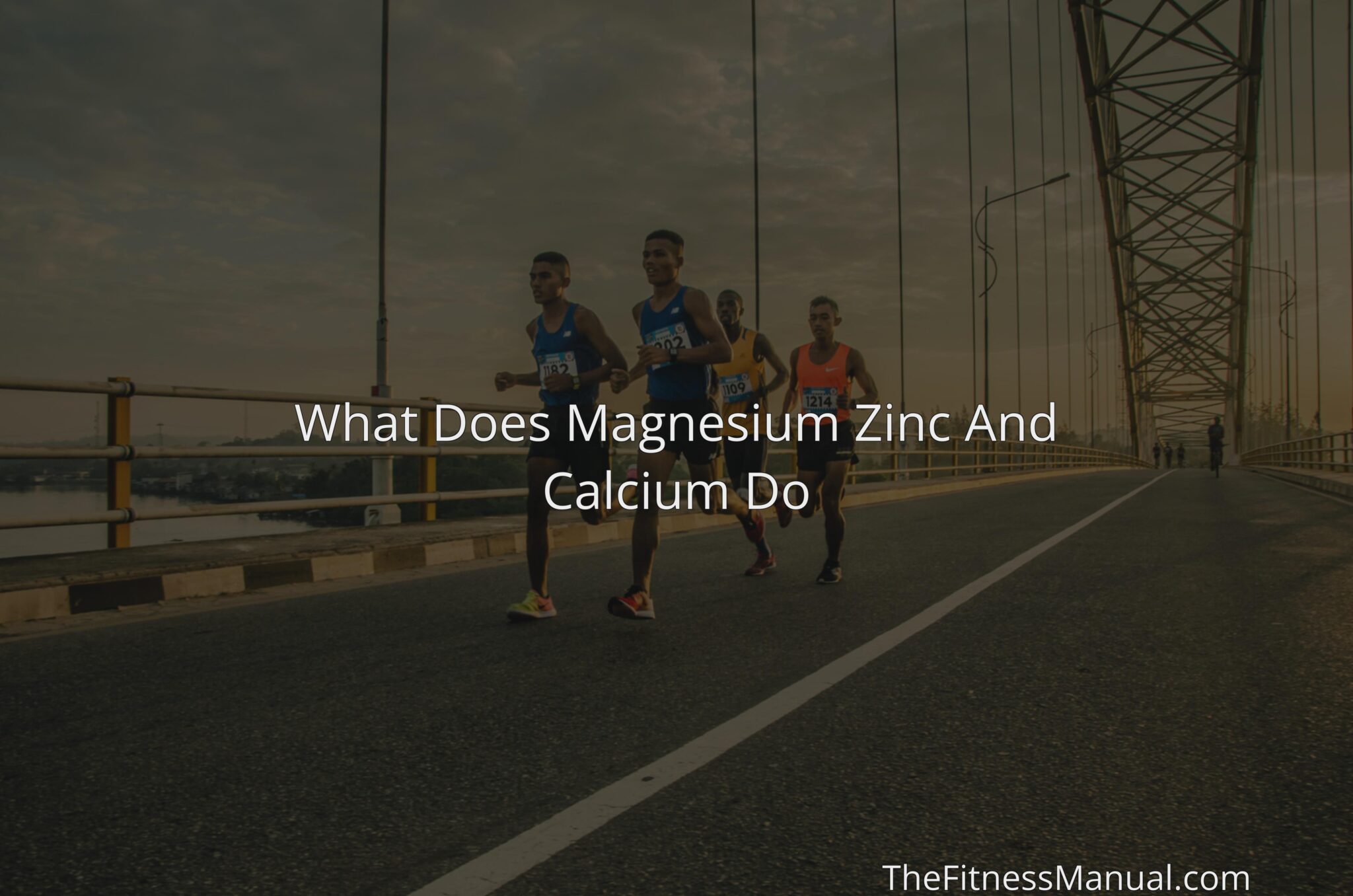 What Does Magnesium Zinc And Calcium Do TheFitnessManual