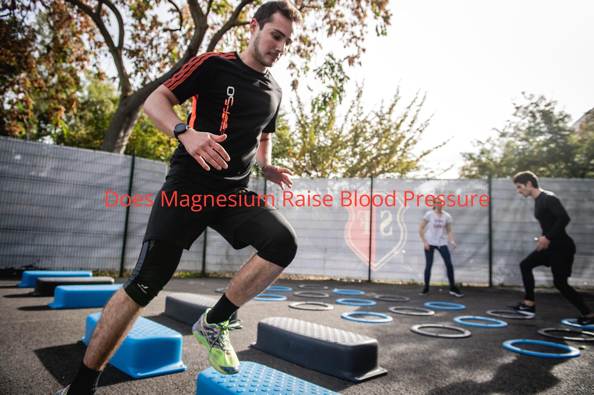 does-magnesium-raise-blood-pressure-thefitnessmanual