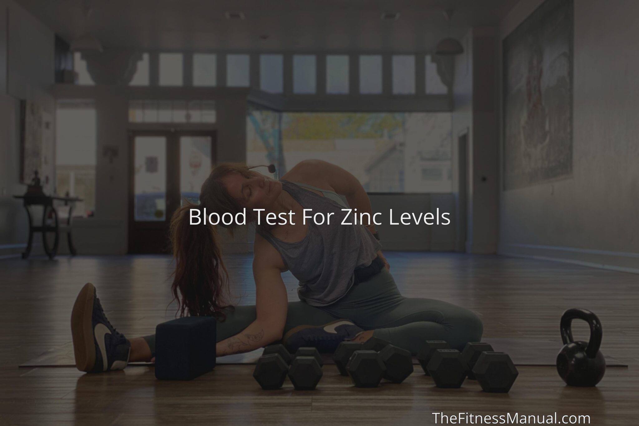 Blood Test For Zinc Levels TheFitnessManual