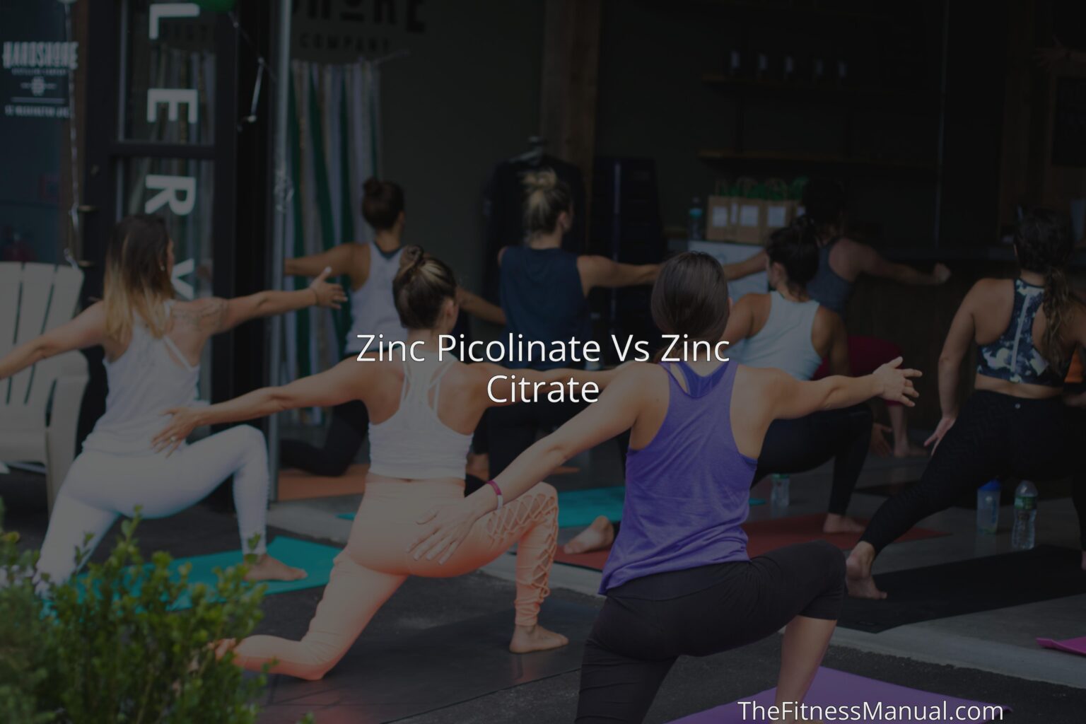 Zinc Picolinate Vs Zinc Citrate TheFitnessManual