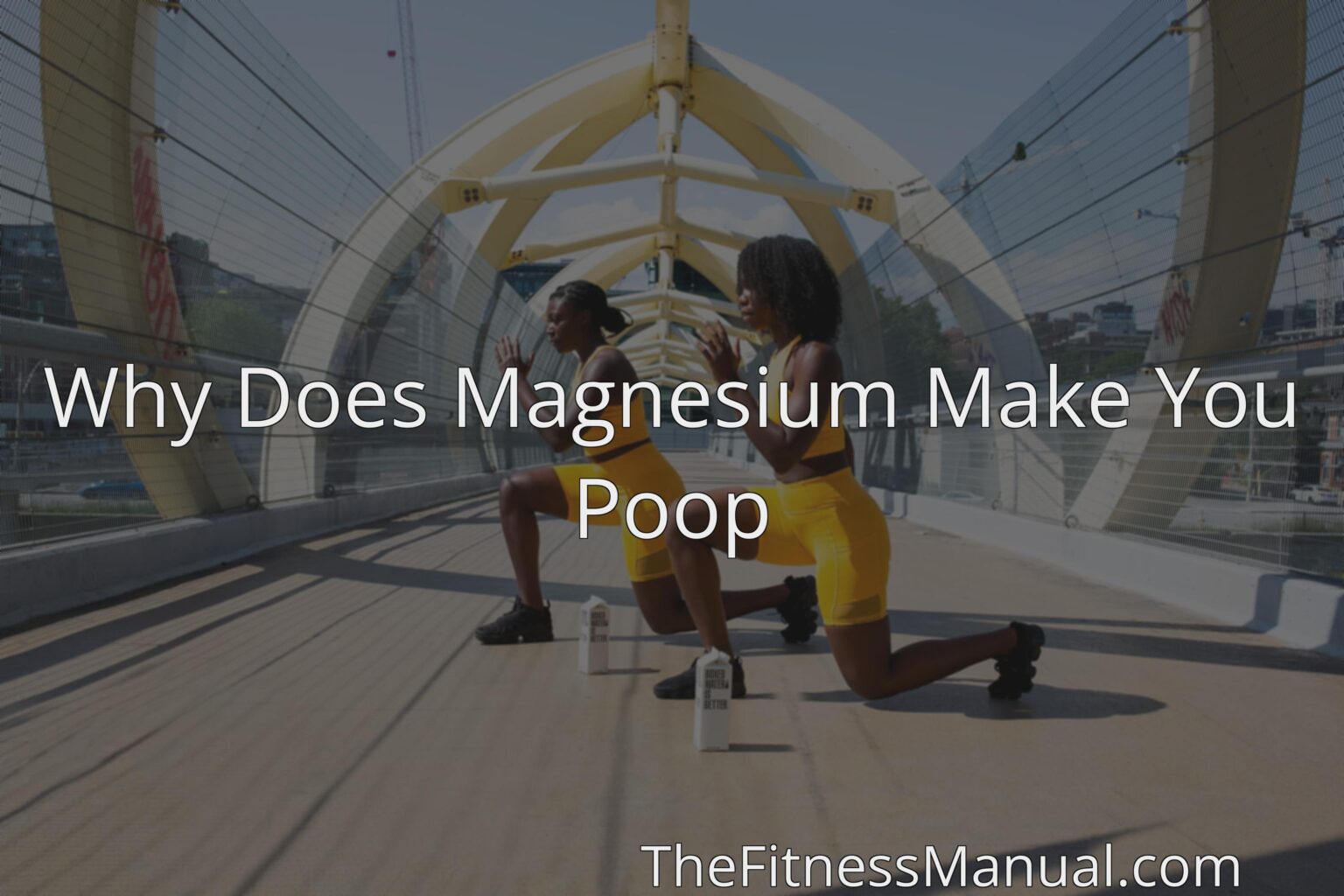 Why Does Magnesium Make You Poop TheFitnessManual