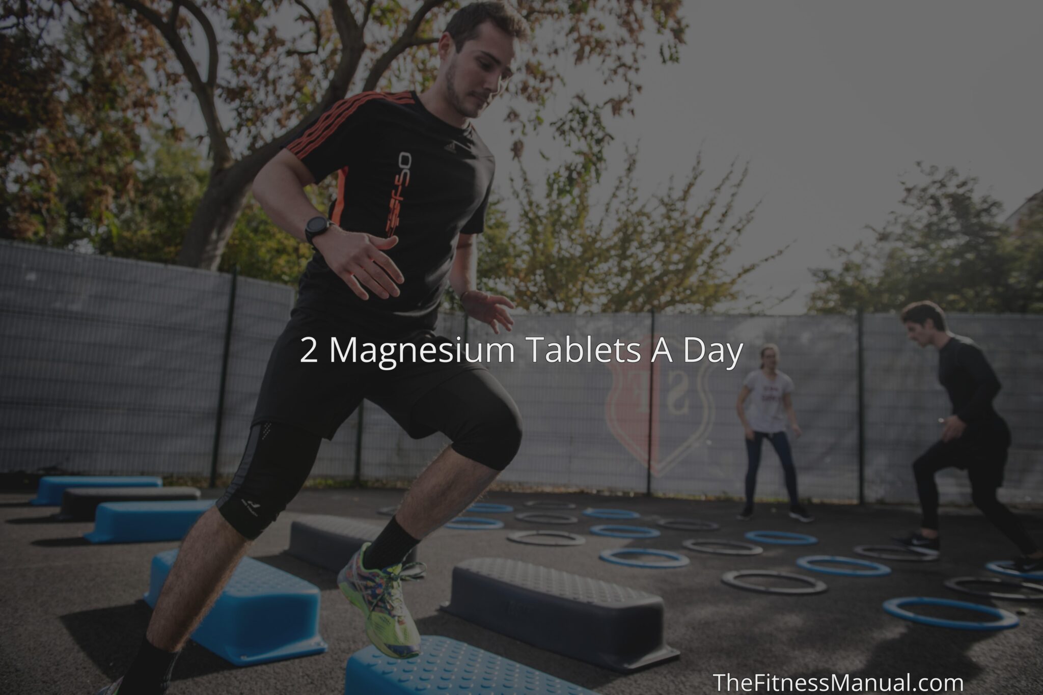 2 Magnesium Tablets A Day TheFitnessManual   Result 441 Scaled 