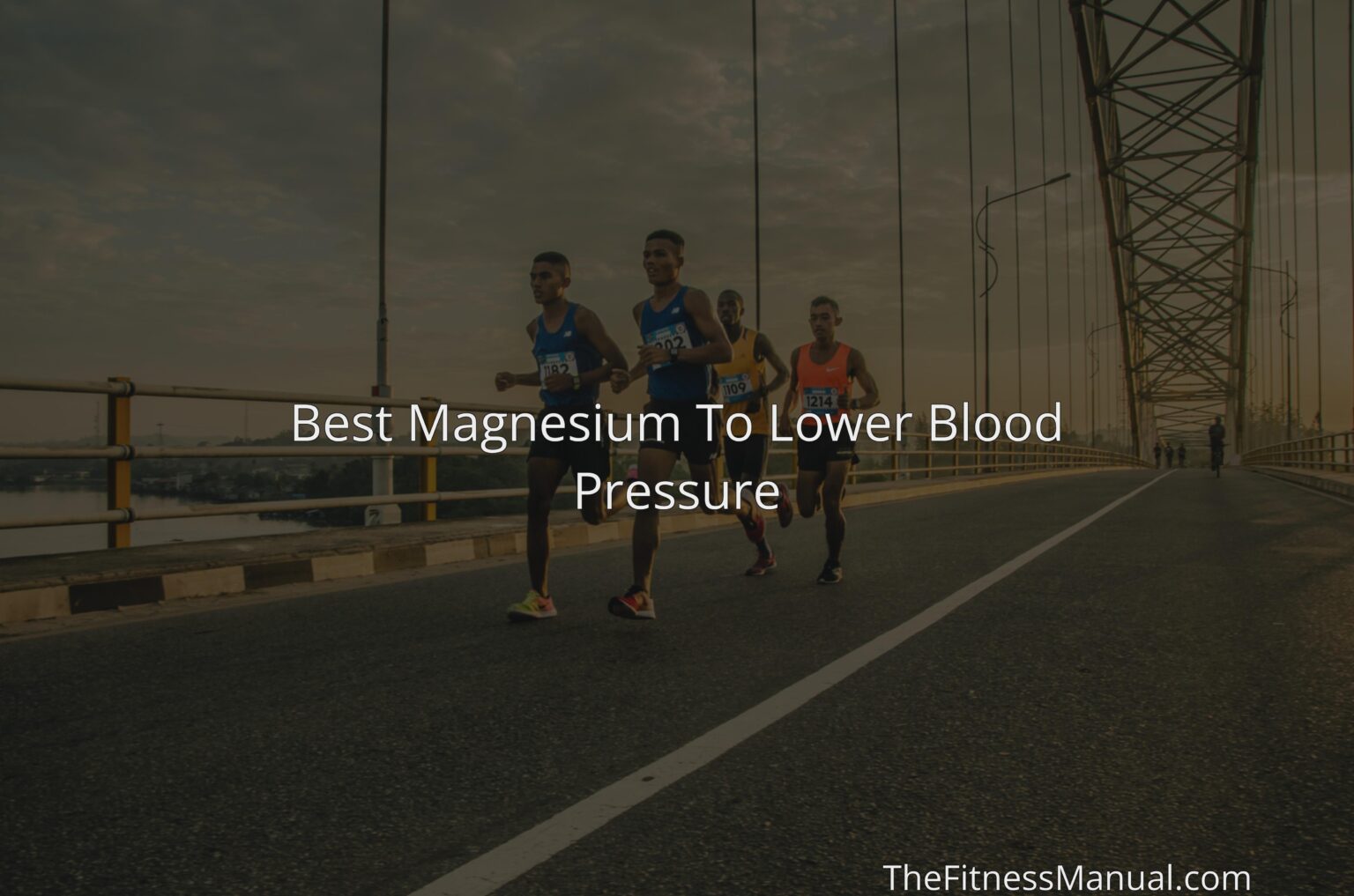 best-magnesium-to-lower-blood-pressure-thefitnessmanual