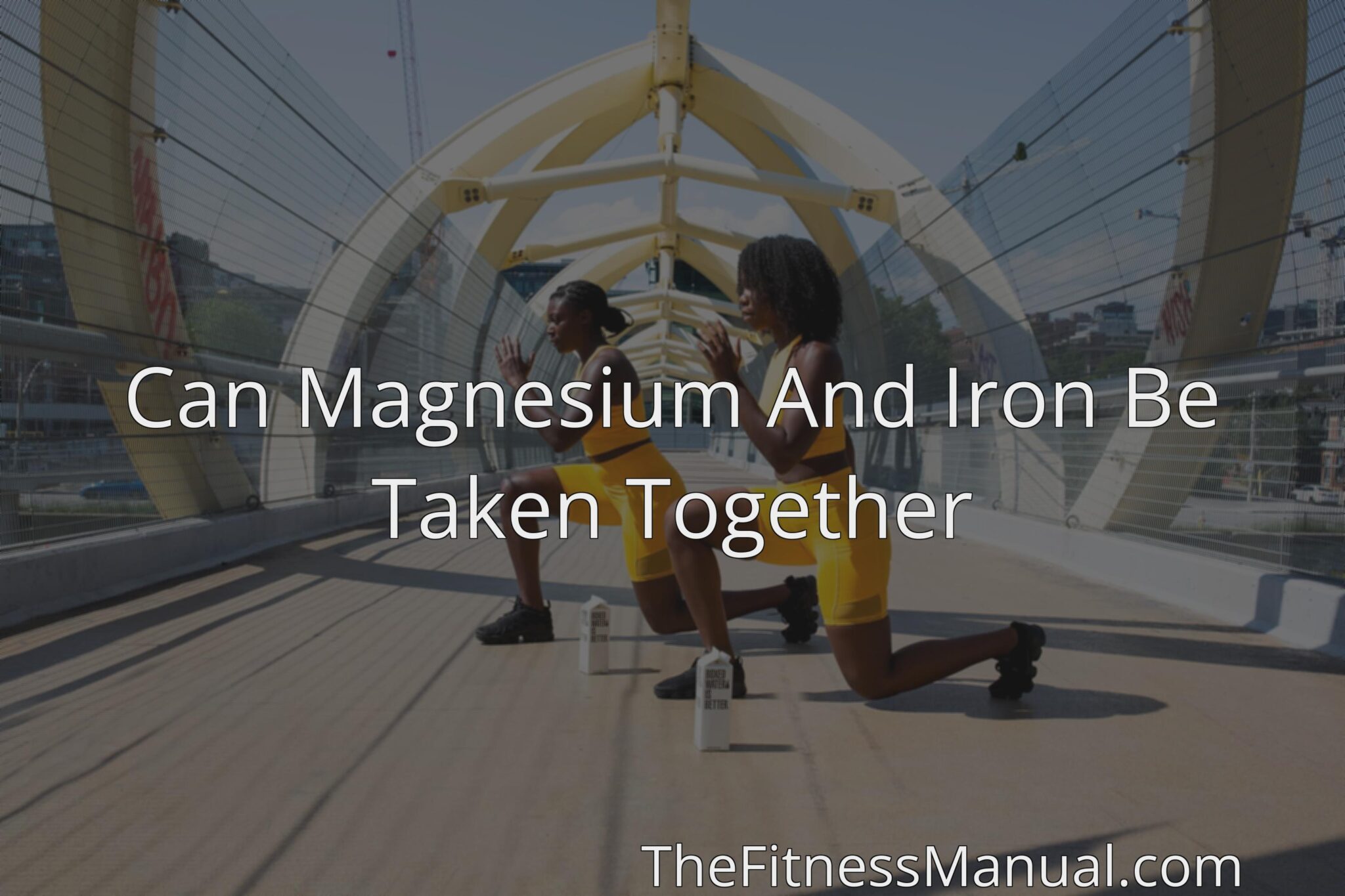 can-magnesium-and-iron-be-taken-together-thefitnessmanual