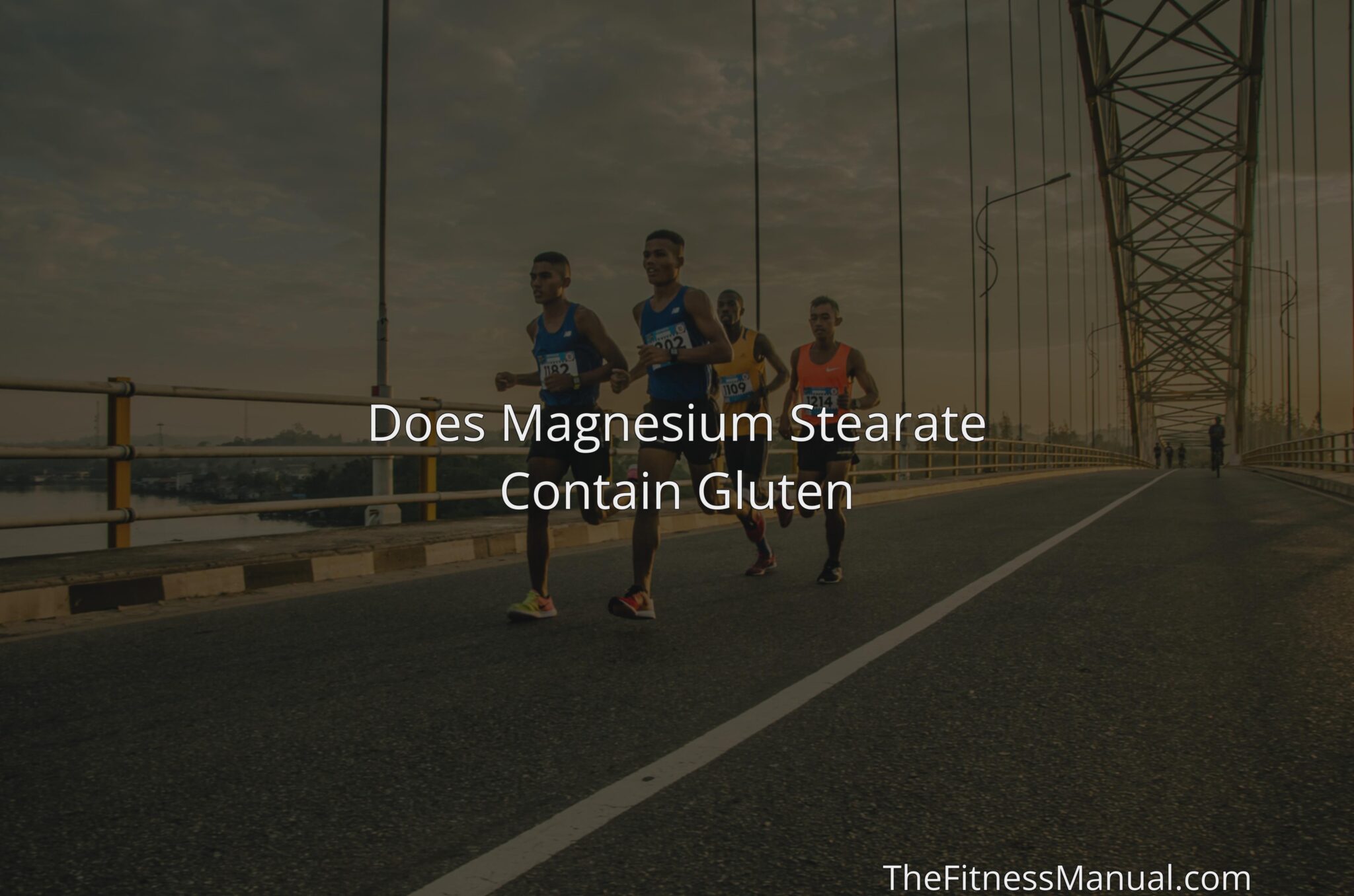 Does Magnesium Stearate Contain Gluten TheFitnessManual