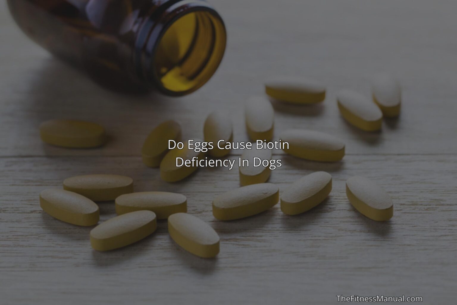 Do Eggs Cause Biotin Deficiency In Dogs TheFitnessManual